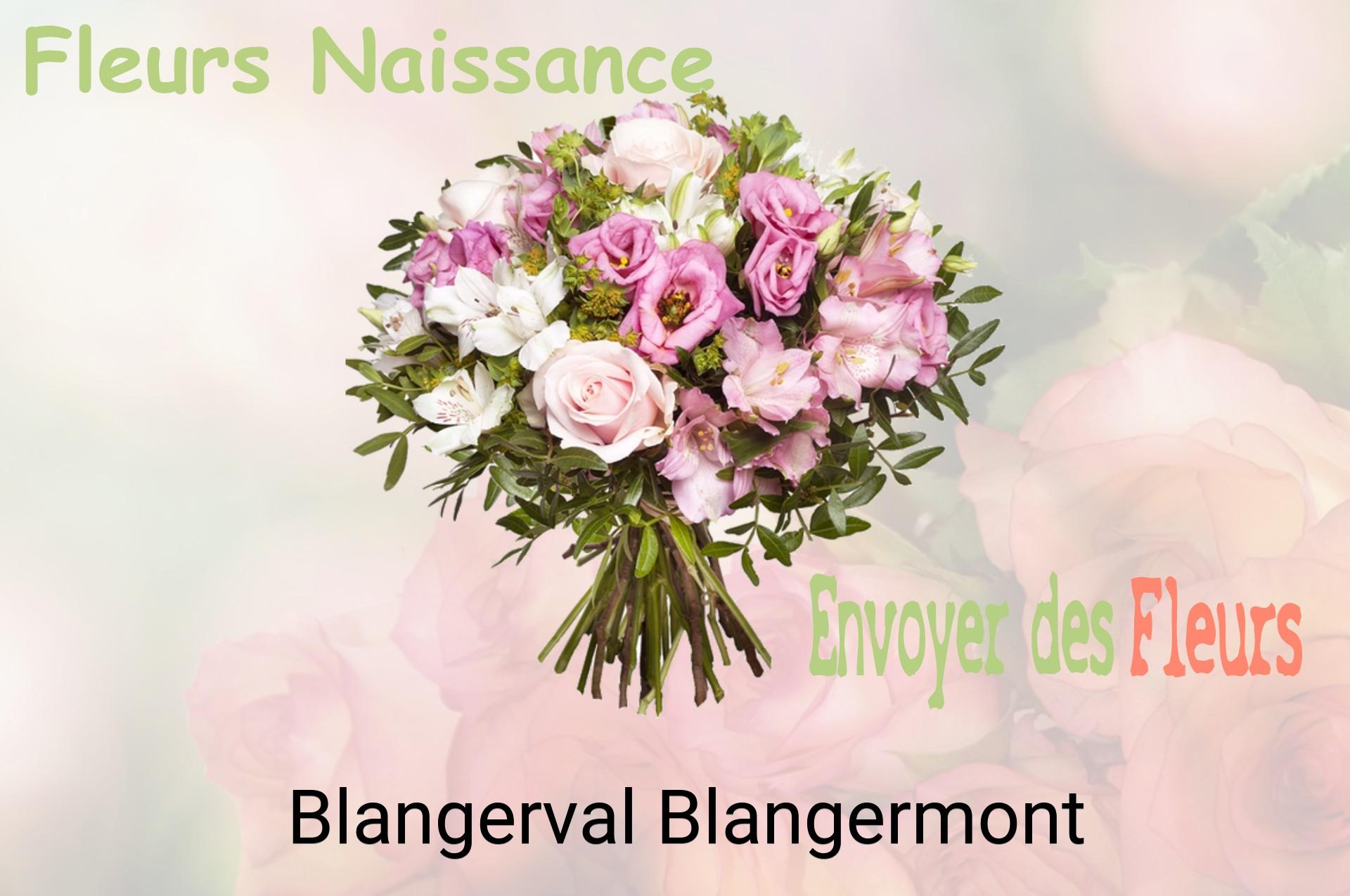 Bouquet de fleurs de naissance livré à Blangerval-Blangermont